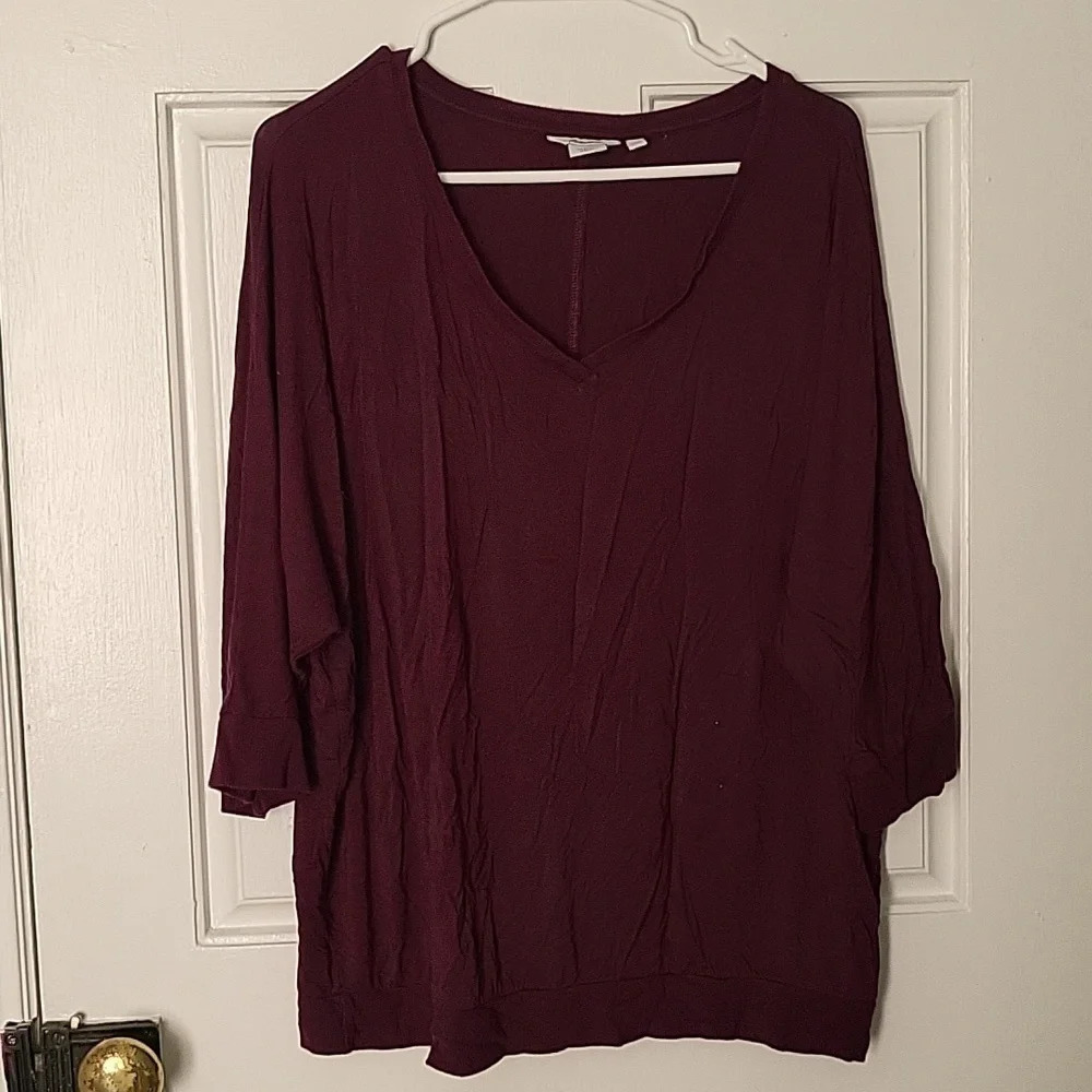 Reitman's V  Neck Top
